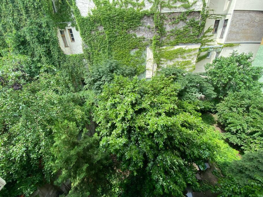Raday Street, Spacious, Modern Apartment Budapeşte Dış mekan fotoğraf